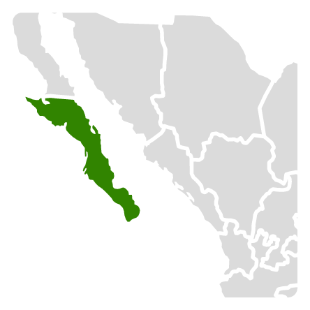 Mapa de Baja California Sur